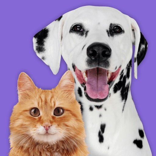Pet Parade: Cutest Dogs & Cats Icon