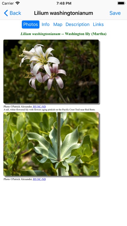 Oregon Wildflower Search screenshot-4