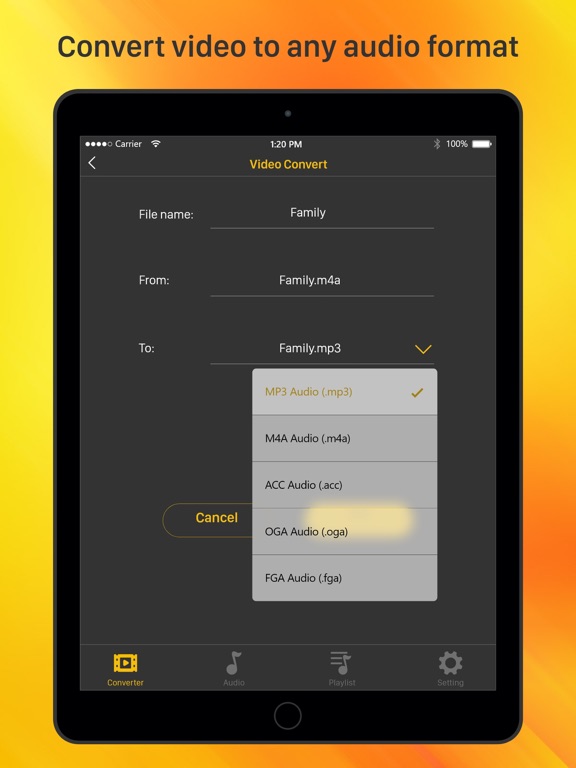 Screenshot #5 pour Video to Mp3 - Convert Audio