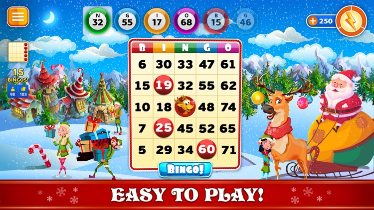 Bingo Christmas Holidays 2024 screenshot-3