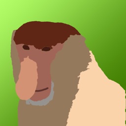 Nosaczmoji