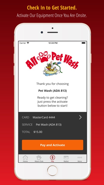 All Paws Pet Wash
