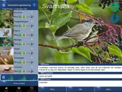 Fågelsång Id - fåglar iPad image 1