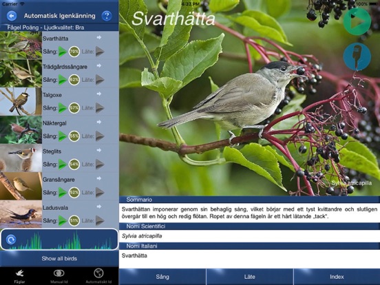 Screenshot #4 pour Fågelsång Id - fåglar