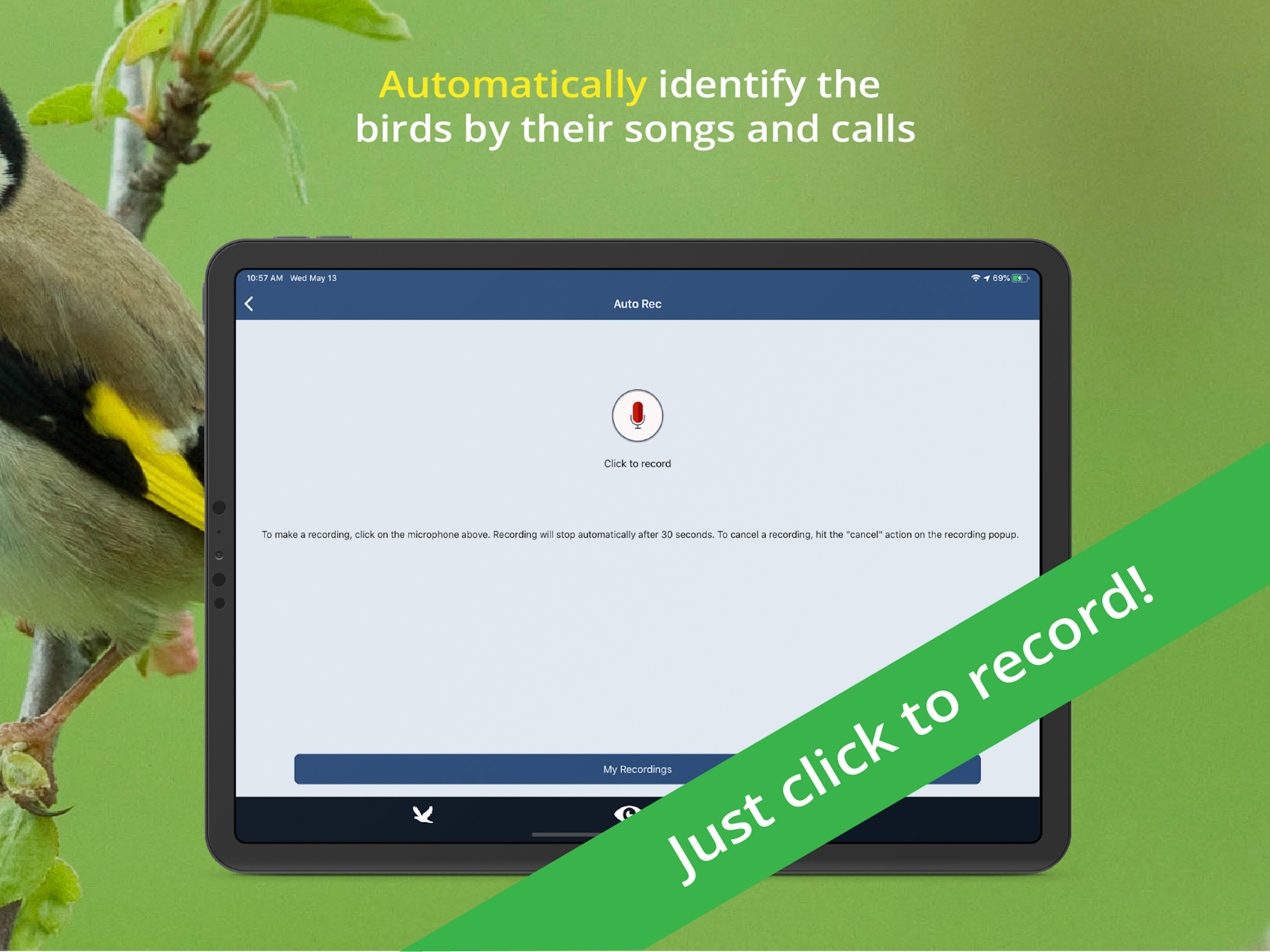 Bird Song Id UK