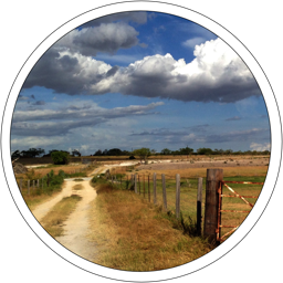 Badger Country