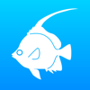 Fishes of the Maldives - Atoll Editions Mobile