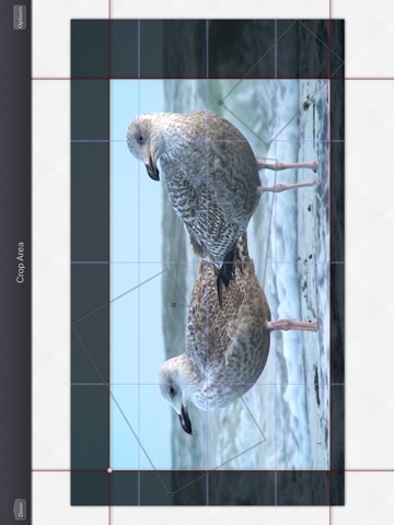 Video Crop & Zoom - HD iPad screenshot