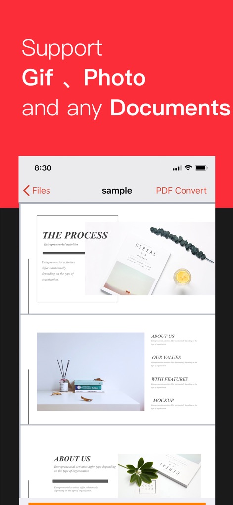 iConv - Video & PDF Converter - The app incorporates a robust document viewer, allowing users to effortlessly preview multi-page PDFs and ensure content accuracy before conversion.
