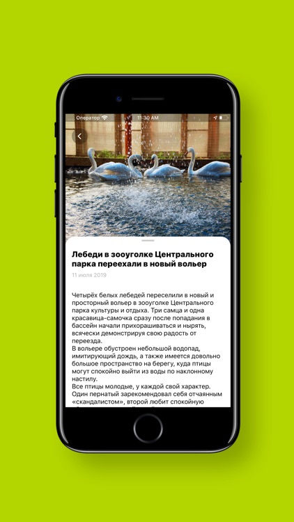 Центральный парк