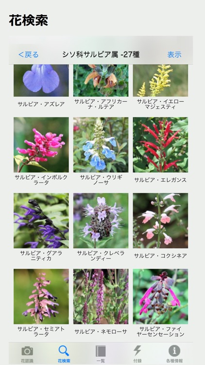 花しらべ 花認識/花検索