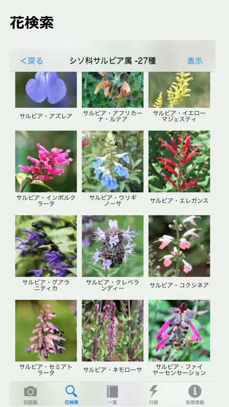 花しらべ 花認識/花検索 screenshot 2 of 4