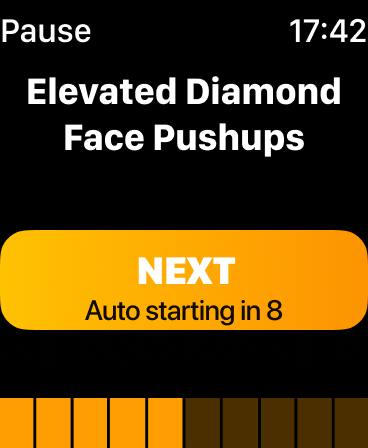 Furious Five - Home Workout
