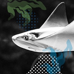 The Future of the Planet