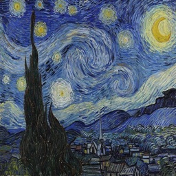 Inside Starry Night