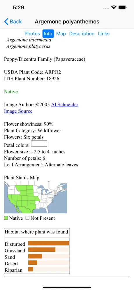 Nebraska Wildflowers