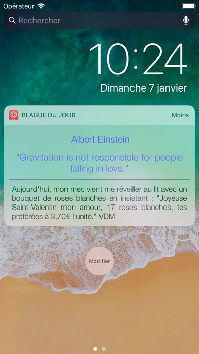 Screenshot #1 pour Widget Blague du Jour