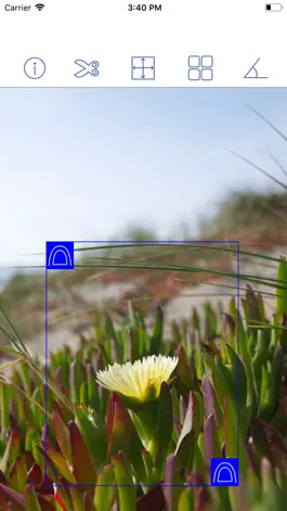 Game screenshot Photo Cut + mod apk