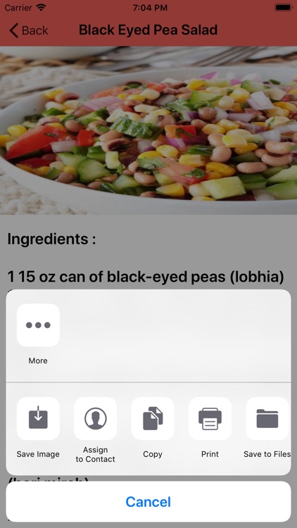Soup and Salad Recipes screenshot-4