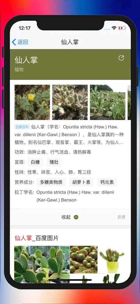 拍照识图-智能慧眼识别图片