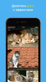 Мой Мир: фото, игры, чат, юмор айфон картинки 1