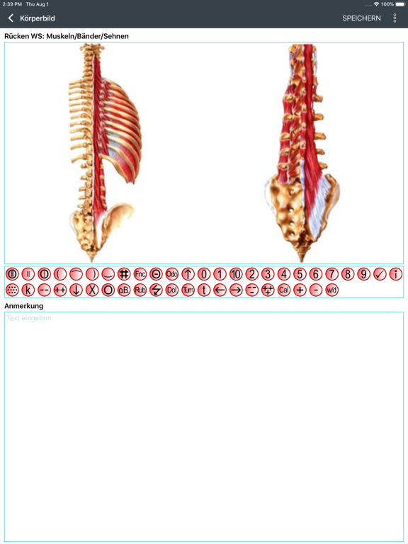 azh Befundung iPad screenshot