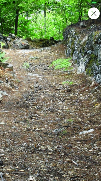 Estrela Green Tracks screenshot-5