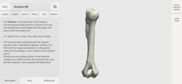 Game screenshot Dog Skeleton 3D Atlas hack