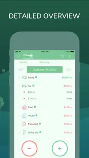 monefy: money tracker iphone screenshot 2