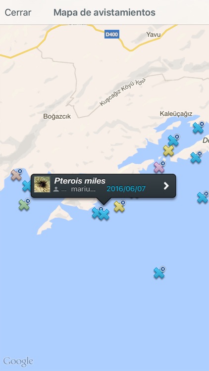IUCN MedMIS screenshot-3