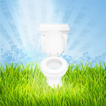 Toilets Finder Читы