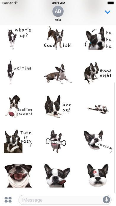 Screenshot #3 pour Iggy - Animated Boston Terrier