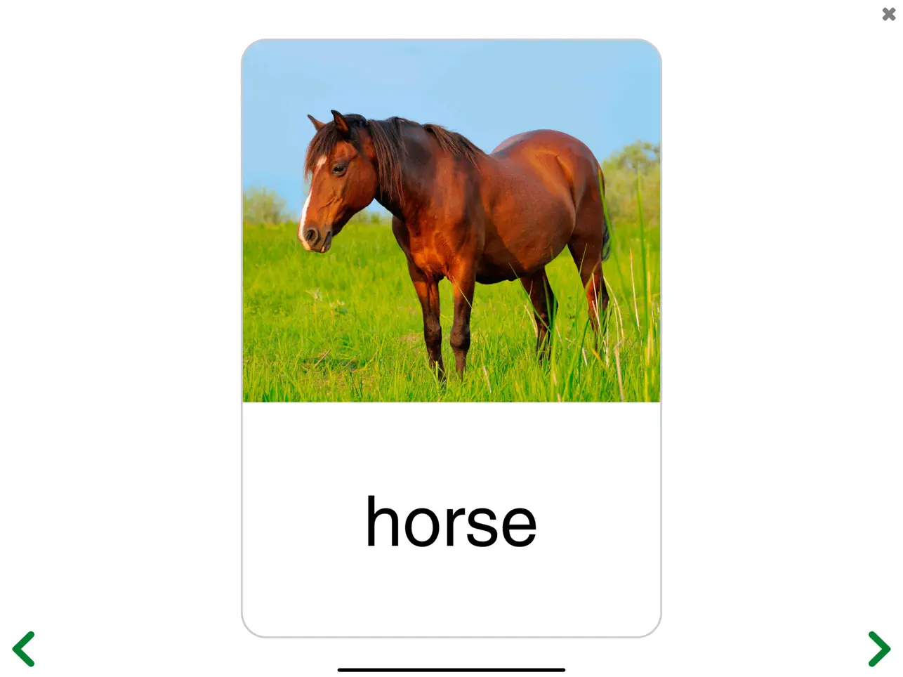 Screenshot #4 pour See and Learn Saying Words 1