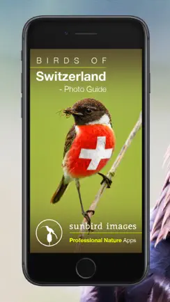 Birds of CH -Photo Guide iPhone image 1