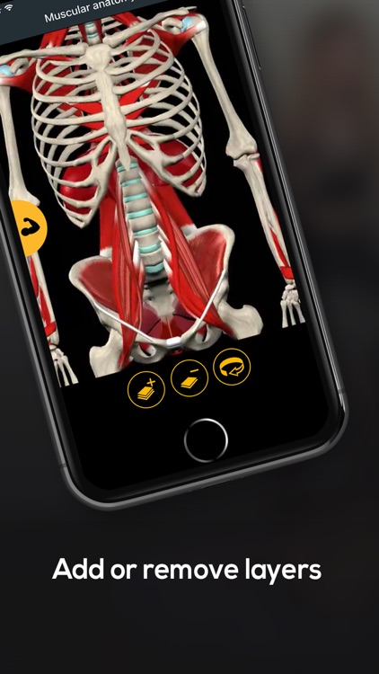 Anatomy by Muscle & Motion screenshot-6