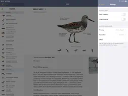 BWP screenshot 16