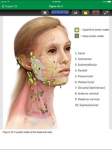 Dermatology A Pict. Review 3/Eのおすすめ画像4