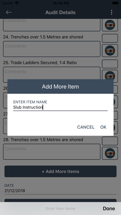 Site Safety Audit Screenshot
