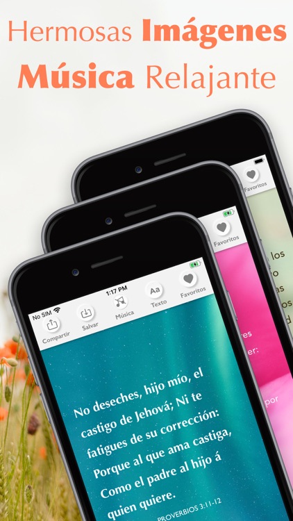 Santa Biblia Reina Valera 1960 screenshot-3