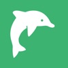 Dolphin English Flashcard