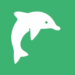 Dolphin English Flashcard