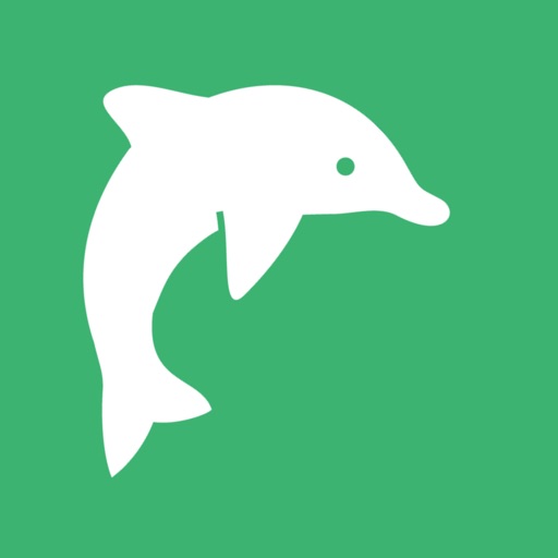 Dolphin English Flashcard