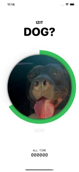 Game screenshot Izit Dog? mod apk