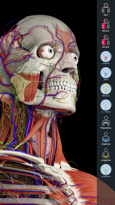 Essential Anatomy 5 Screenshot