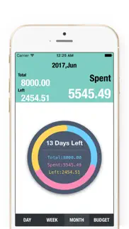 best budget planner-money book iphone screenshot 2