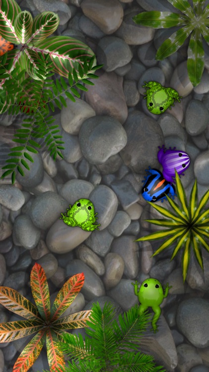 Pocket Frogs