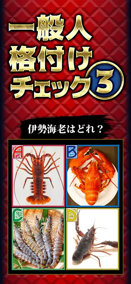 一般人㊙格付けチェック3