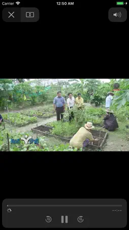Police TV screenshot 2