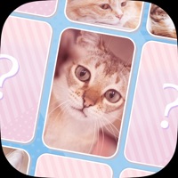可愛い猫のメモリーマッチパズル！