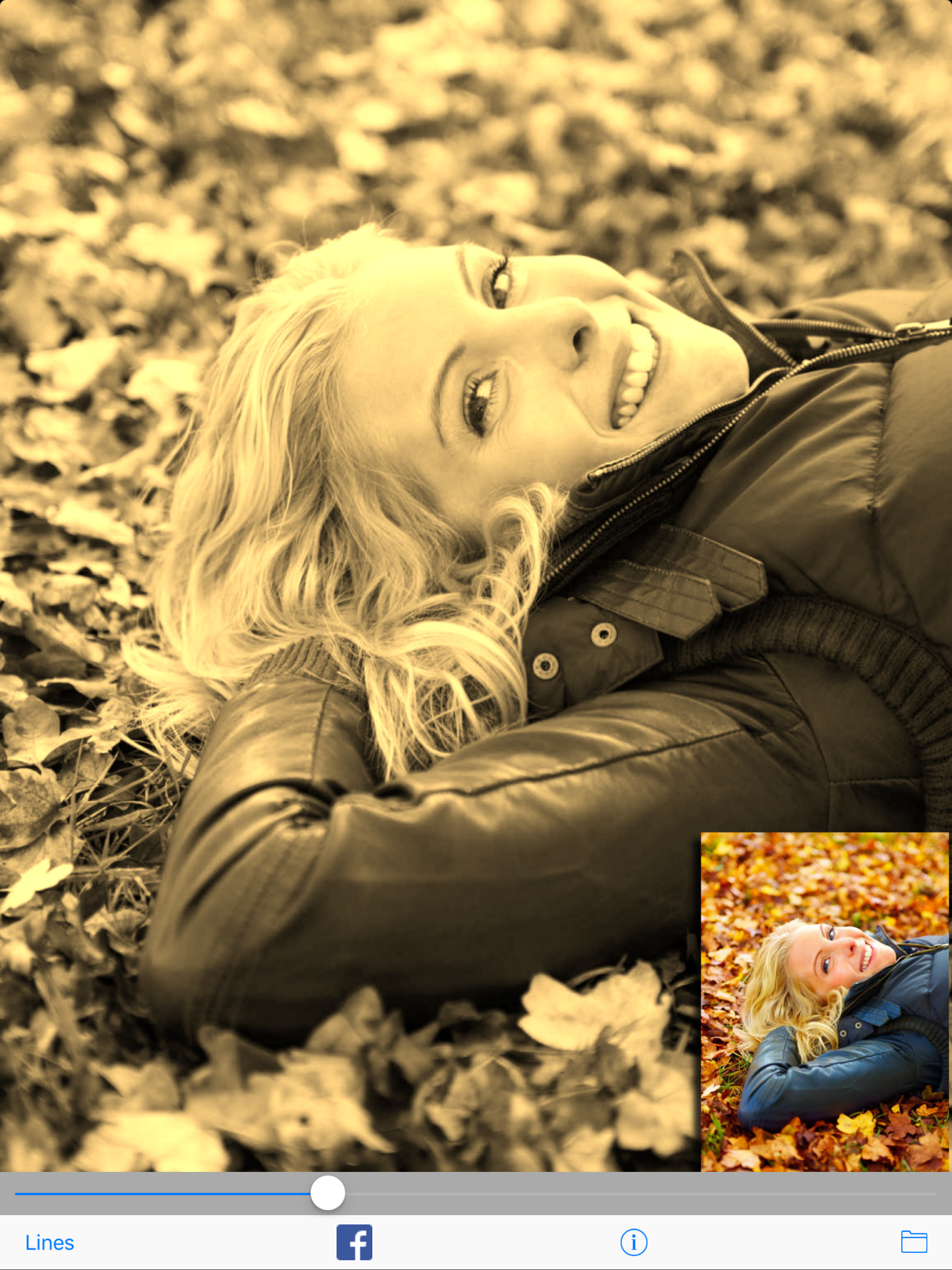 Sepia Shine - picture filter